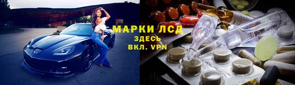 СК Арсеньев